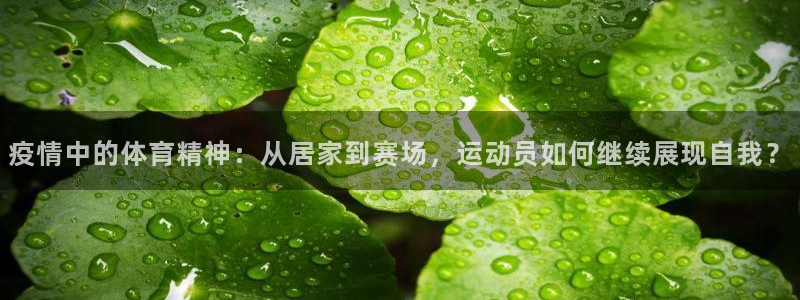 杏运登录