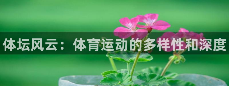 杏运体育4