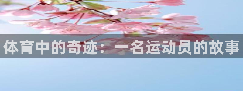 杏运4