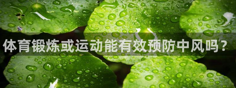 杏运体育凯捷代理注册