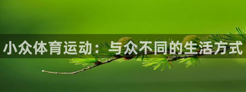 www.杏运体育.com