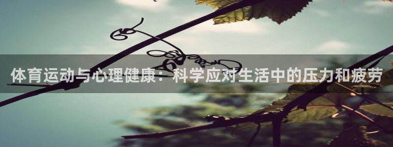 天润杏运棘了