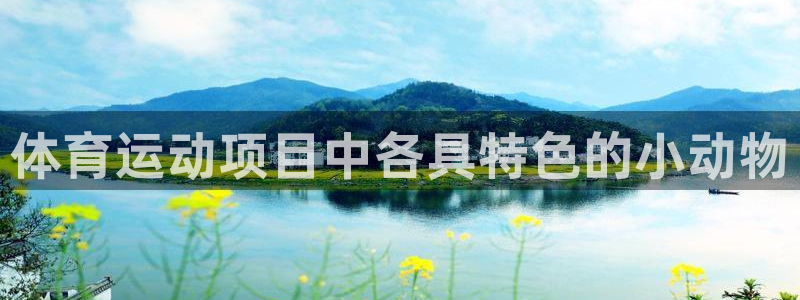 杏运娱乐