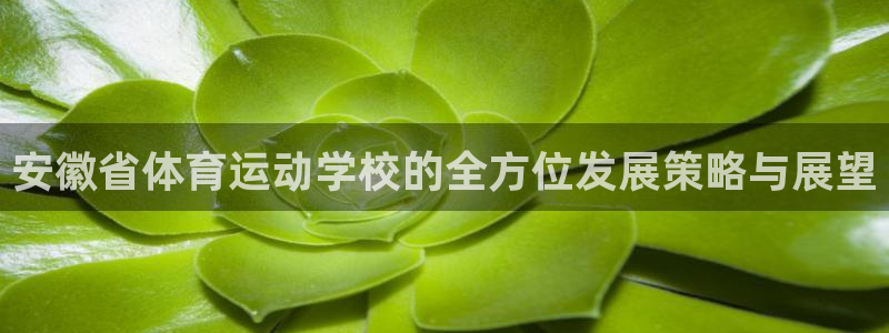 杏运3代理