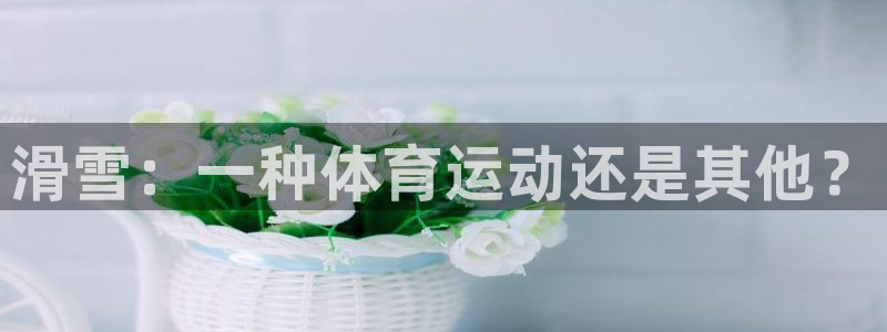 杏运体育代理申请流程
