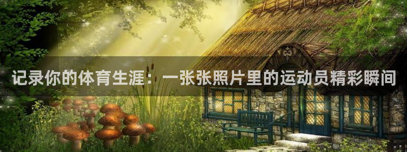杏运电动汽车多少钱一辆
