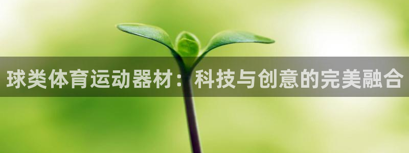杏运达贝是什么