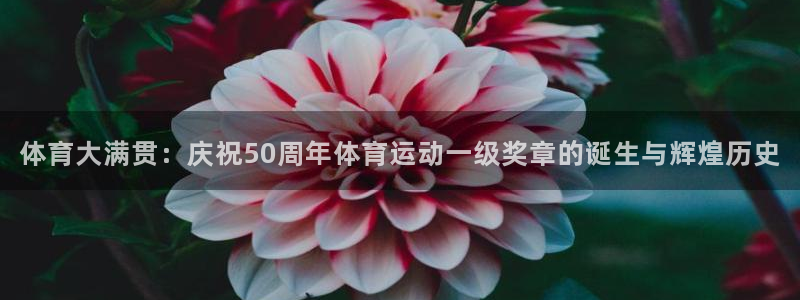 杏运体育凯捷平台招商