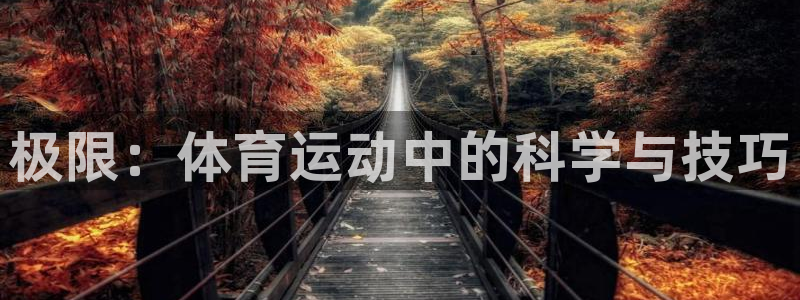 杏运官网