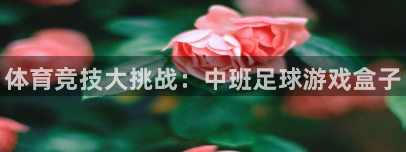 杏运体育论坛